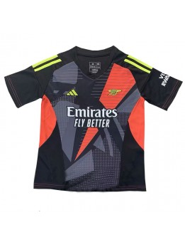Arsenal Torwart Ausweichtrikot 2024-25 Kurzarm